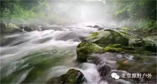 成吉思汗得后代都有哪些姓氏?—全面问答,满足你的求知欲望